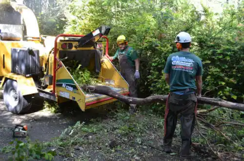 tree services Granite Bay